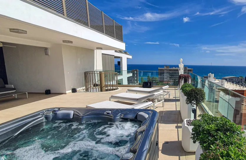 Пентхаус с 3-мя спальнями - 14587, photo 4