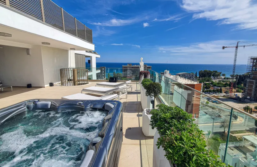 Пентхаус с 3-мя спальнями - 14587, photo 16