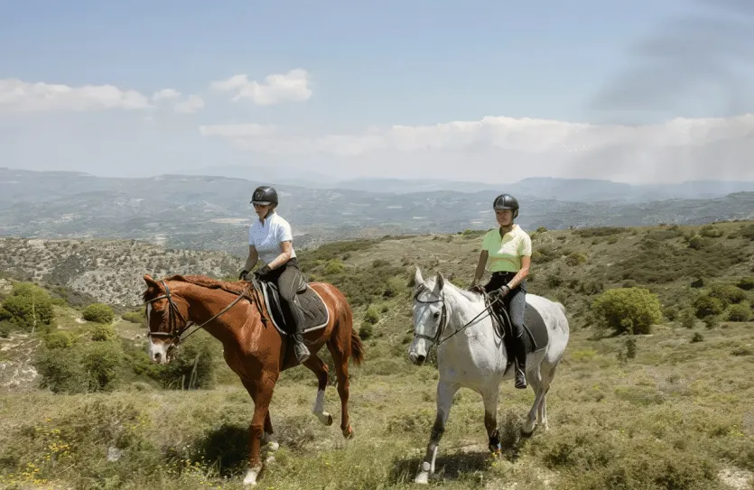 Дом с 3-мя спальнями - 14438, photo 7