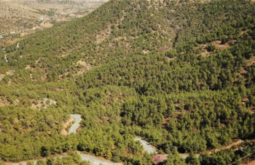 Земельный участок - 14795, photo 2