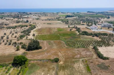 Plot - 14822, photo 1