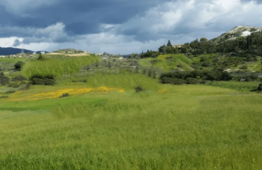 Plot for sale - 14311