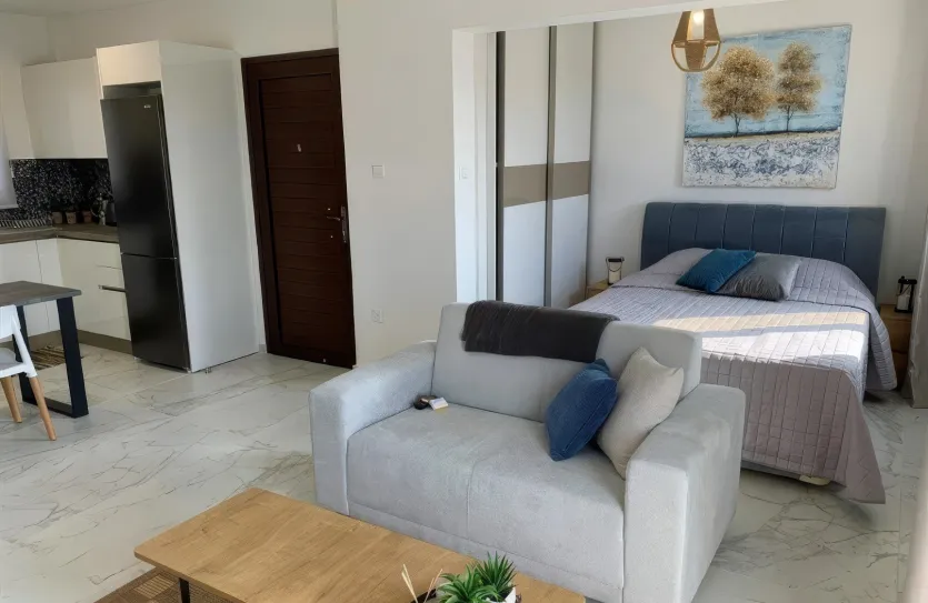 1-bedroom apartment - 13438, photo 6