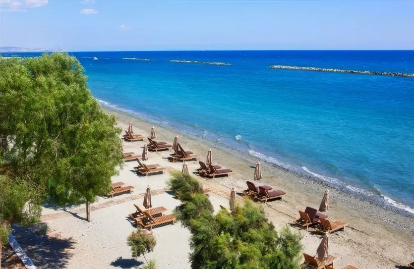 3-bedroom penthouse - 13165, photo 4