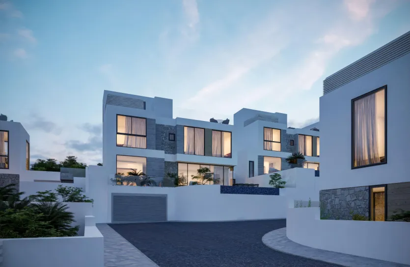 3-bedroom villa - 12981, photo 5