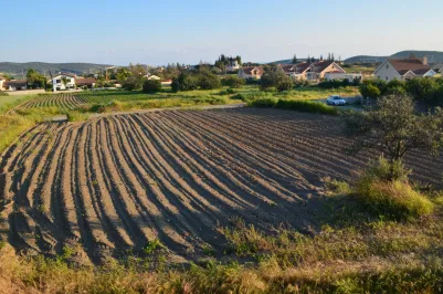 Residential plot - 14848, photo 2