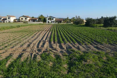 Residential plot - 14848, photo 1