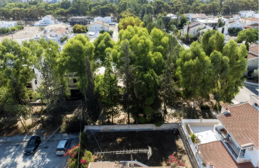 Традиционный дом - 14881, photo 9