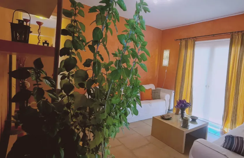 3-bedroom apartment - 14916, photo 14