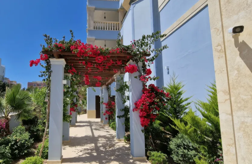 3-bedroom apartment - 15039, photo 3