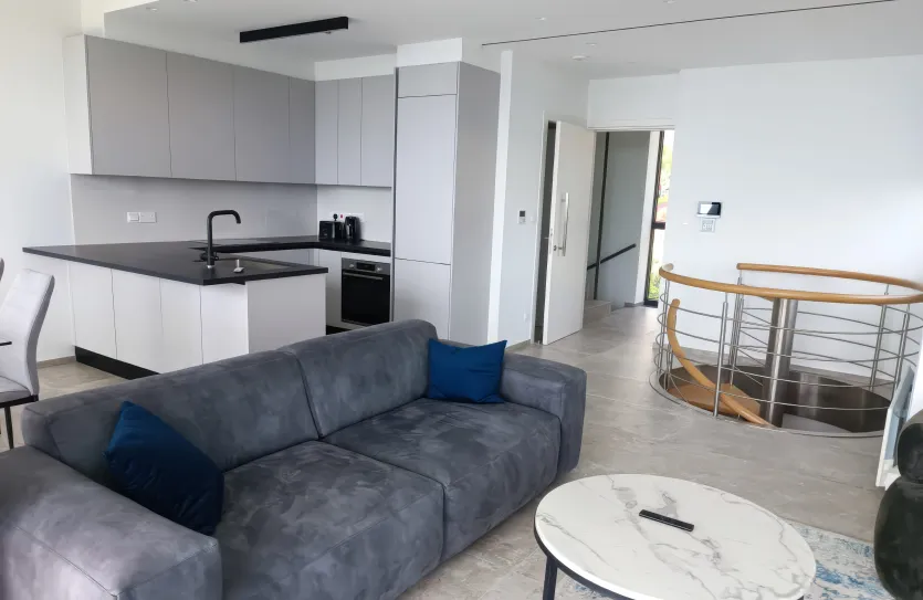 2-bedroom penthouse - 15042, photo 5