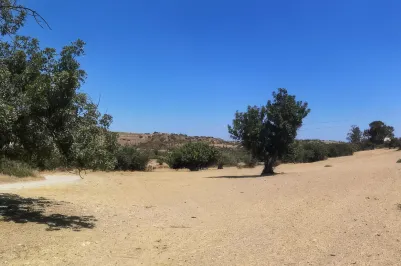 Plot - 15140, photo 1