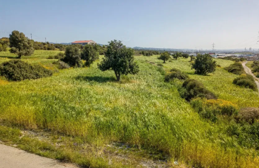 Agricultural plot - 15167, photo 2