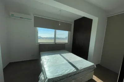 1-bedroom apartment - 15253, photo 2