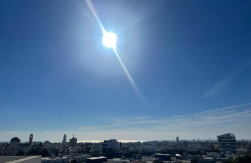 1-bedroom apartment - 15253, photo 13