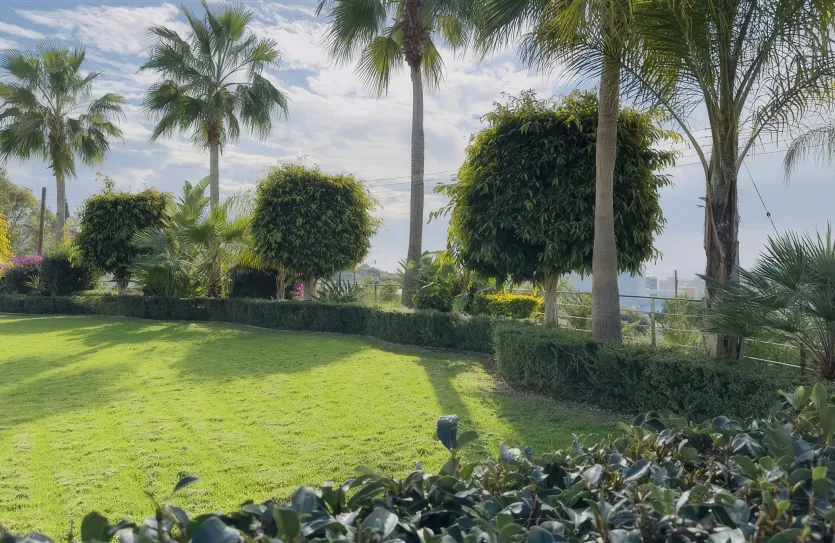 6-bedroom villa - 15325, photo 11