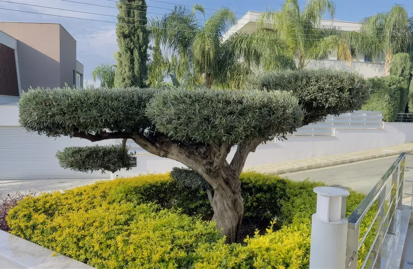 6-bedroom villa - 15325, photo 13