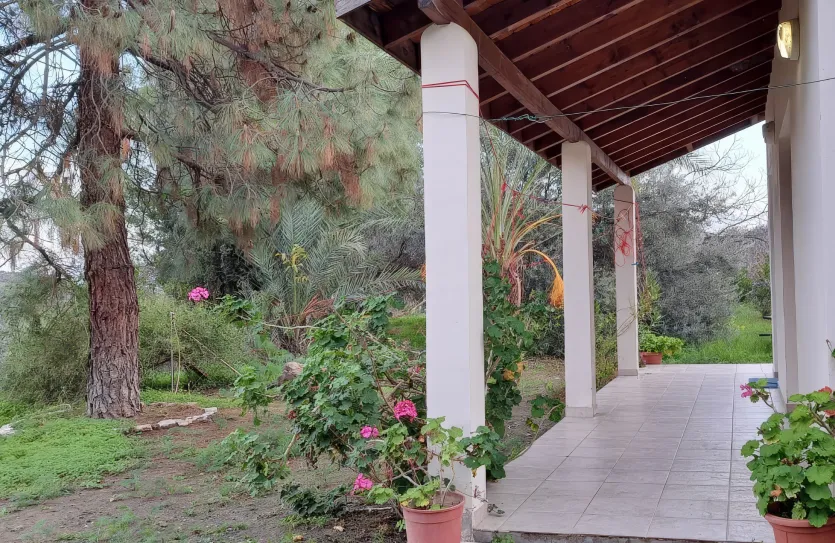 Дом с 1-ой спальней - 15417, photo 2