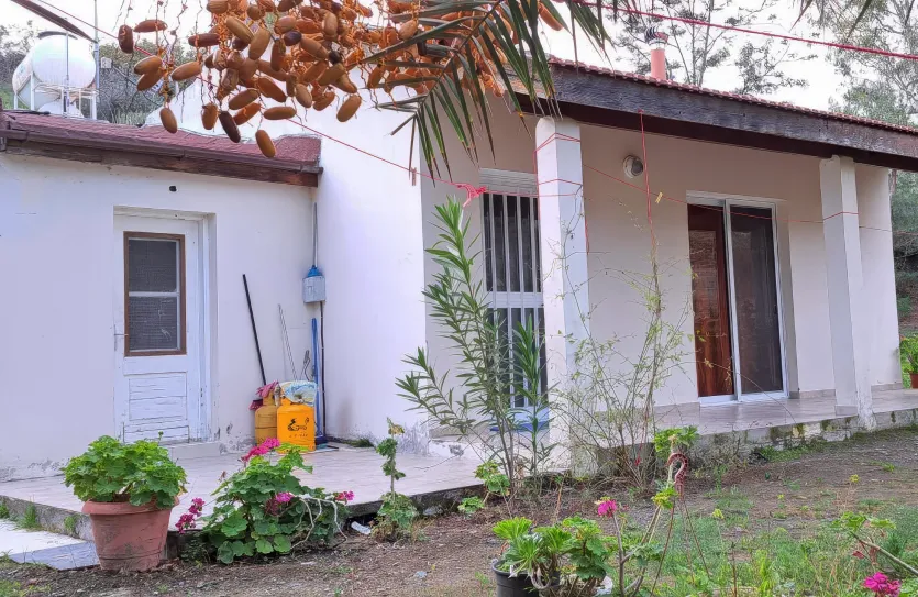 Дом с 1-ой спальней - 15417, photo 4