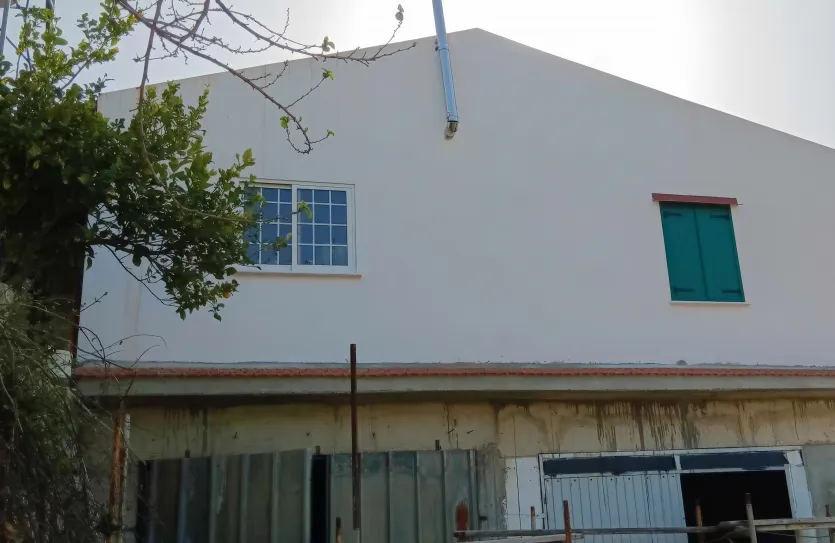 Vineyard with a house - 15419, photo 8