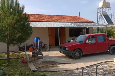 Vineyard with a house - 15419, photo 2