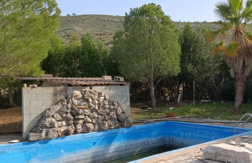 Vineyard with a house - 15419, photo 11