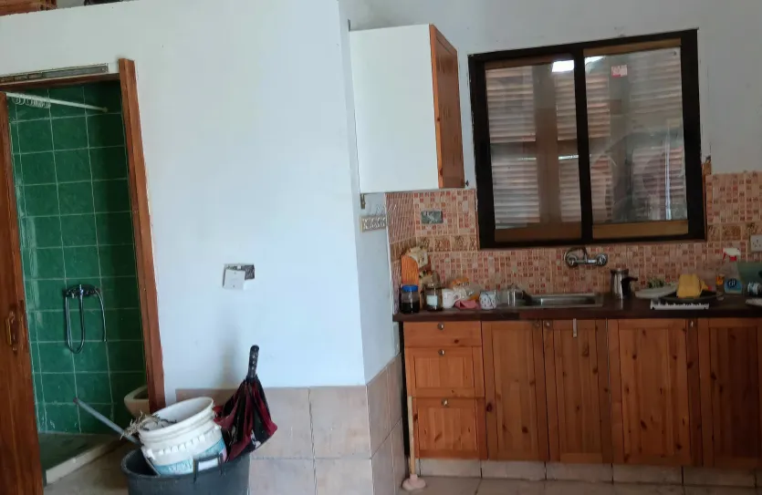 Vineyard with a house - 15419, photo 9