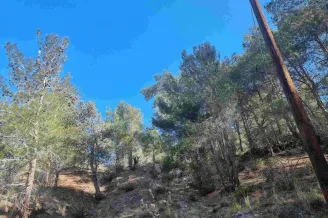 Residential plot in Moniatis, Limassol - 15420