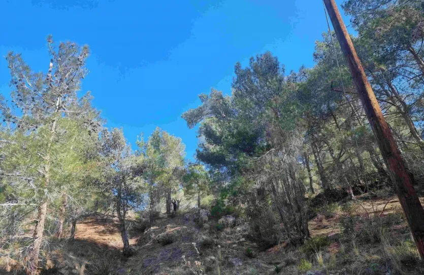 Участок для жилой застройки продажа - 15420