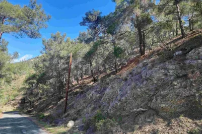 Участок для жилой застройки - 15420, photo 1