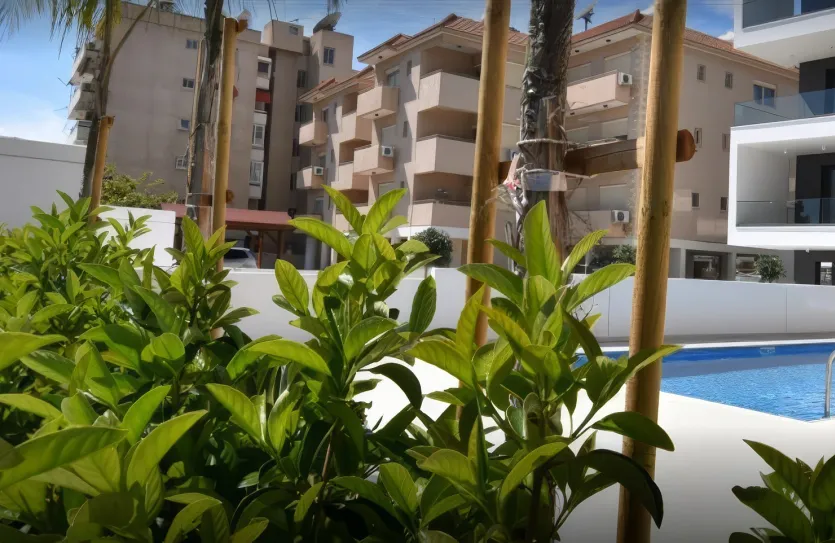 4-bedroom penthouse - 15422, photo 12