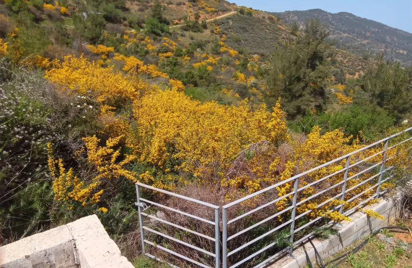 Дом с 3-мя спальнями - 15431, photo 17