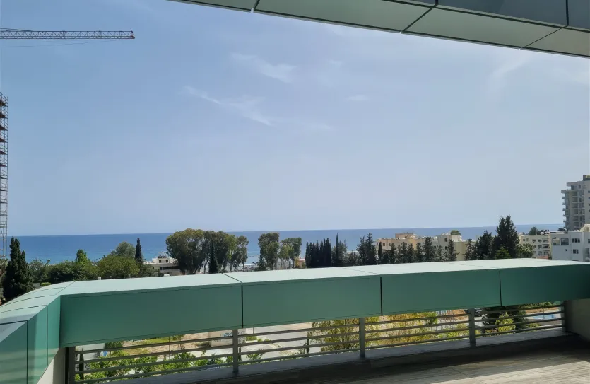 3-bedroom penthouse - 15493, photo 18