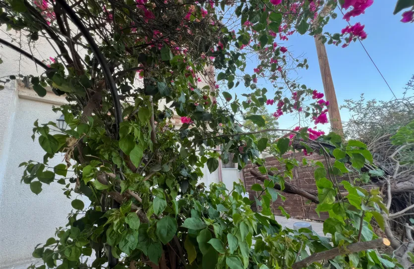 Дом с 2-мя спальнями - 15535, photo 15