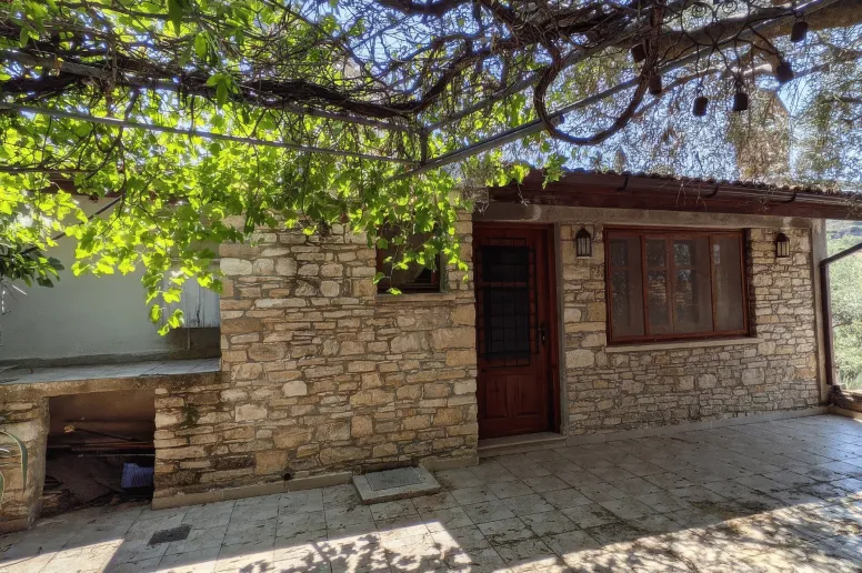 Дом в Кедаресе, Пафос