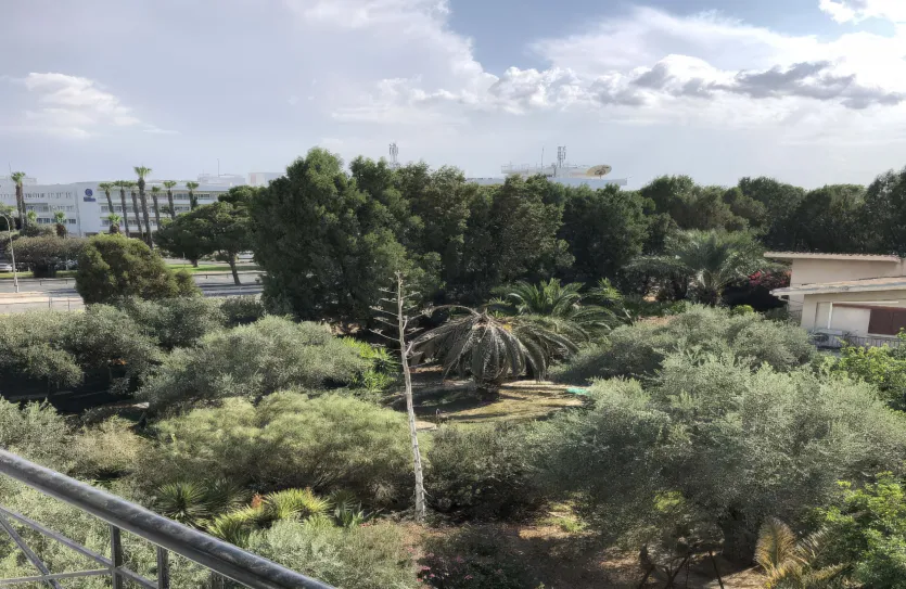 3-bedroom penthouse - 15747, photo 17