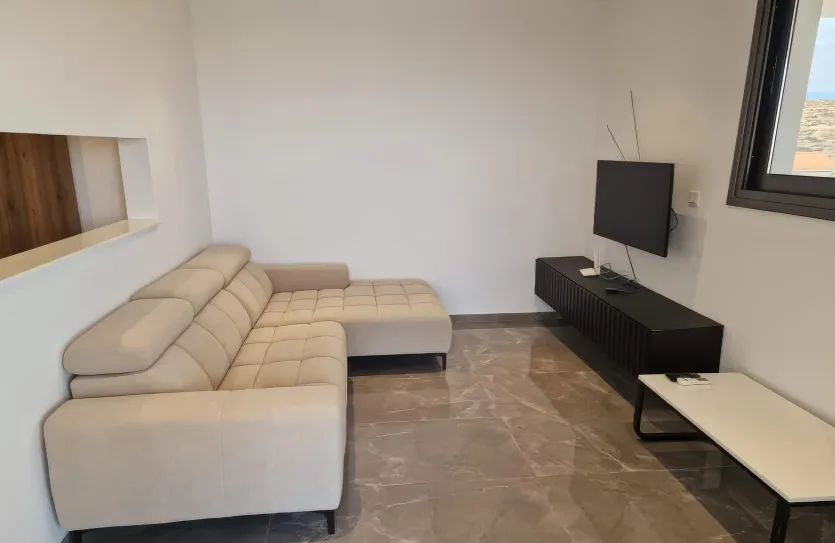 1-bedroom penthouse - 15753, photo 3