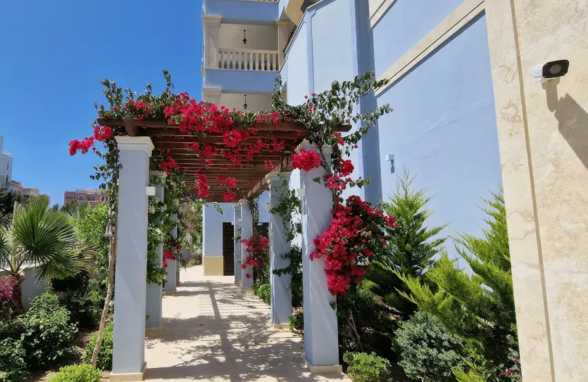 Квартира с 2-мя спальнями - 16208, photo 8