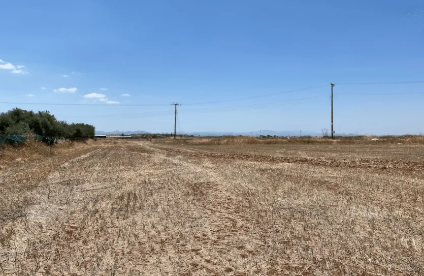 Residential plot - 16258, photo 3