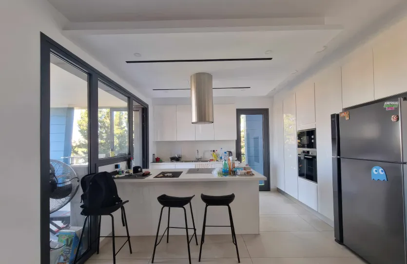 2-bedroom penthouse - 16264, photo 3