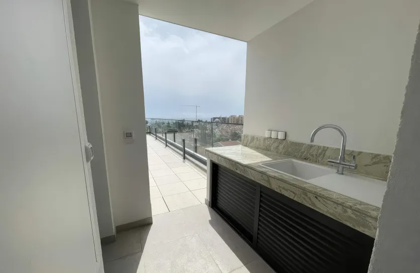 3-bedroom penthouse - 16294, photo 10