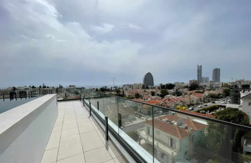 3-bedroom penthouse - 16294, photo 12