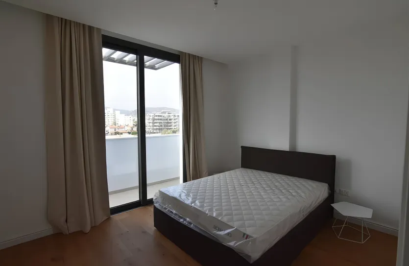 Пентхаус с 3-мя спальнями - 16298, photo 8