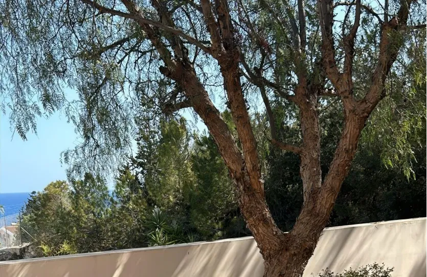 2-bedroom apartment - 16417, photo 6