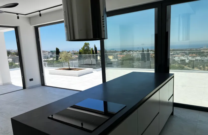 Пентхаус с 2-мя спальнями - 16681, photo 4