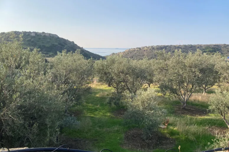 Участок для жилой застройки в Агиос Тихонас, Лимассол