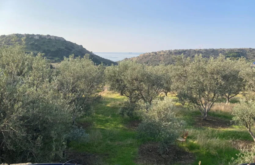 Residential plot for sale - 16728