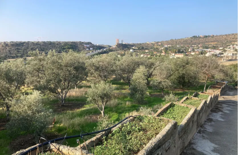 Residential plot - 16728, photo 3