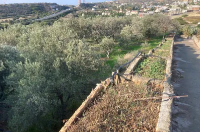 Residential plot - 16728, photo 1