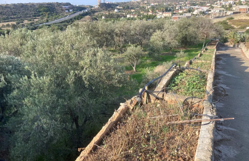 Residential plot - 16728, photo 2